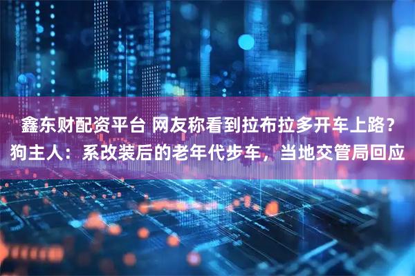 鑫东财配资平台 网友称看到拉布拉多开车上路？狗主人：系改装后的老年代步车，当地交管局回应