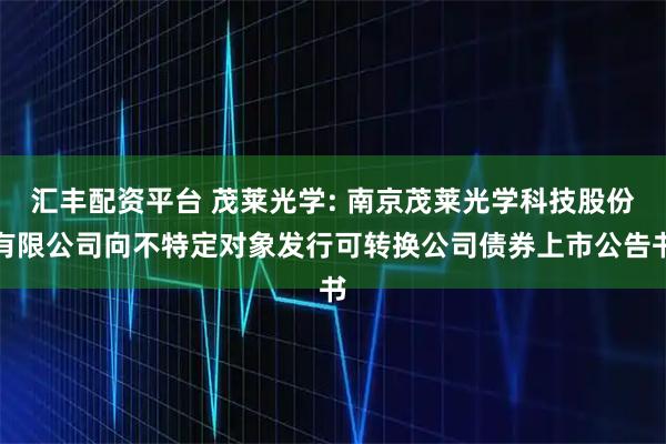 汇丰配资平台 茂莱光学: 南京茂莱光学科技股份有限公司向不特定对象发行可转换公司债券上市公告书