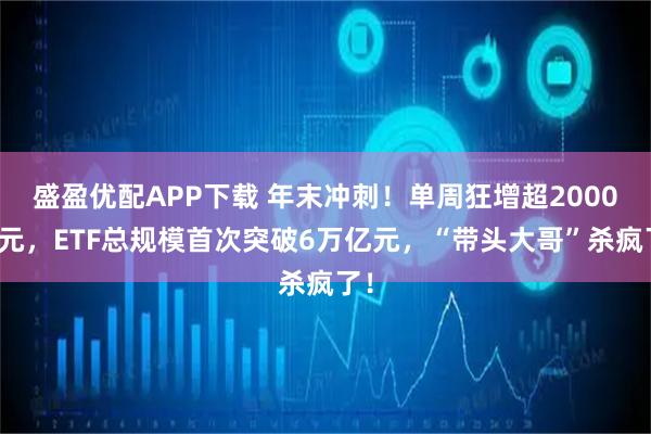 盛盈优配APP下载 年末冲刺！单周狂增超2000亿元，ETF总规模首次突破6万亿元，“带头大哥”杀疯了！