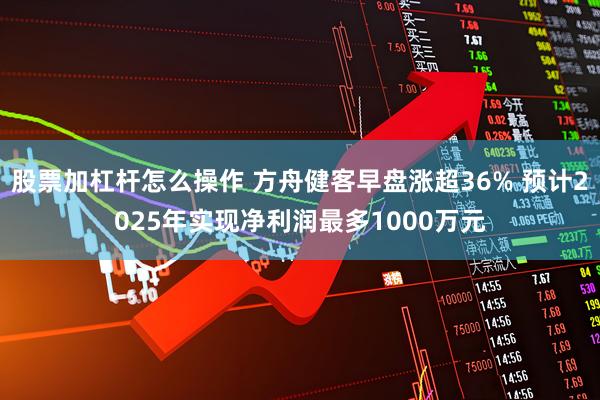 股票加杠杆怎么操作 方舟健客早盘涨超36% 预计2025年实现净利润最多1000万元