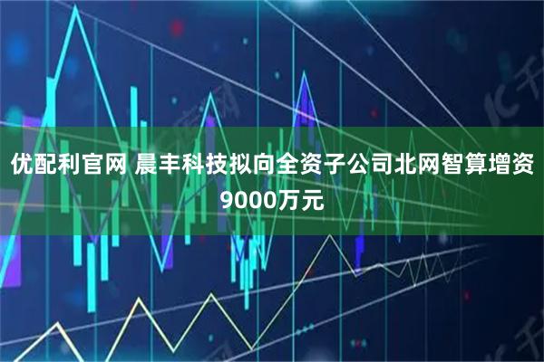 优配利官网 晨丰科技拟向全资子公司北网智算增资9000万元